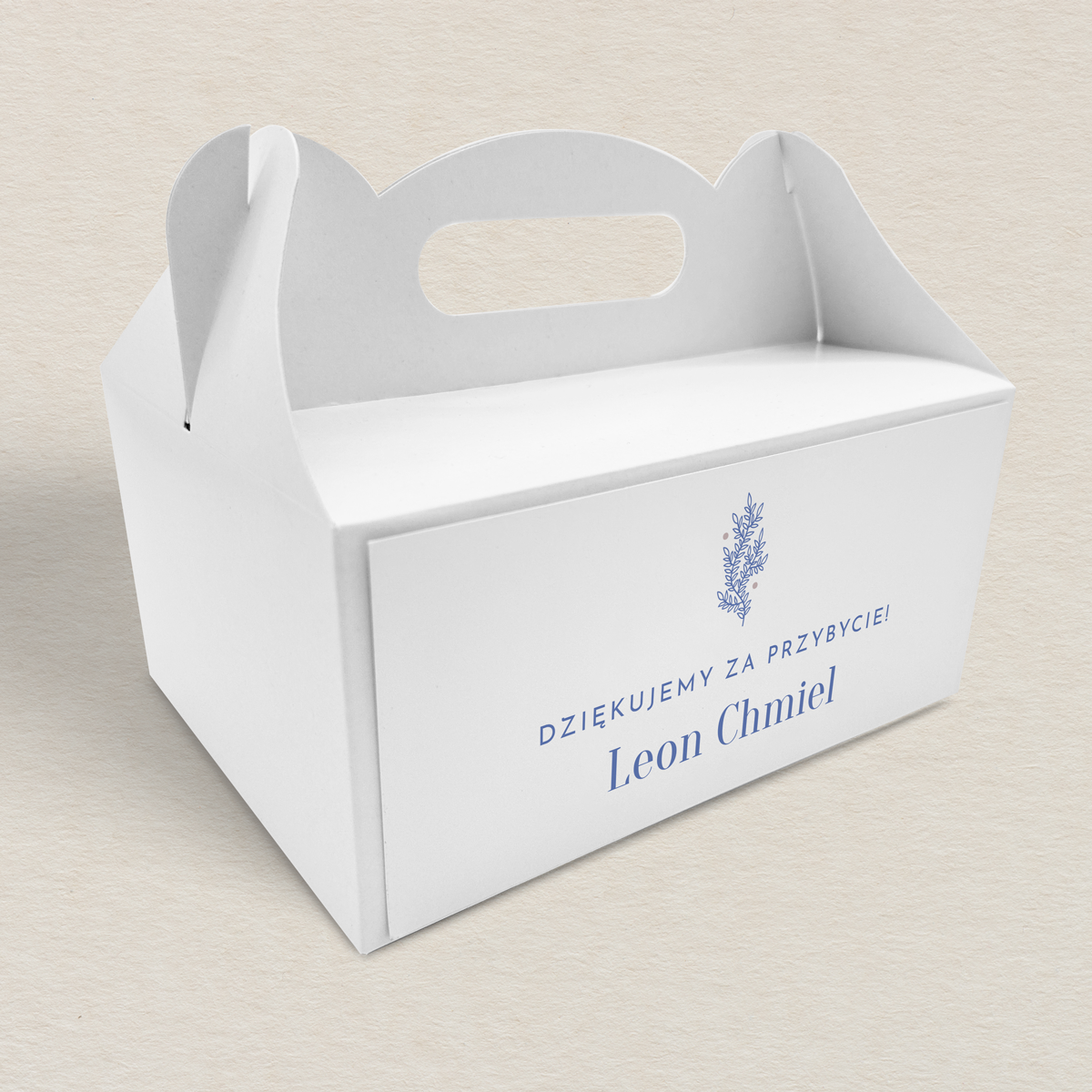 pudelko-na-ciasto-i-komunia-swieta-k4-chlopiec-wzor-2