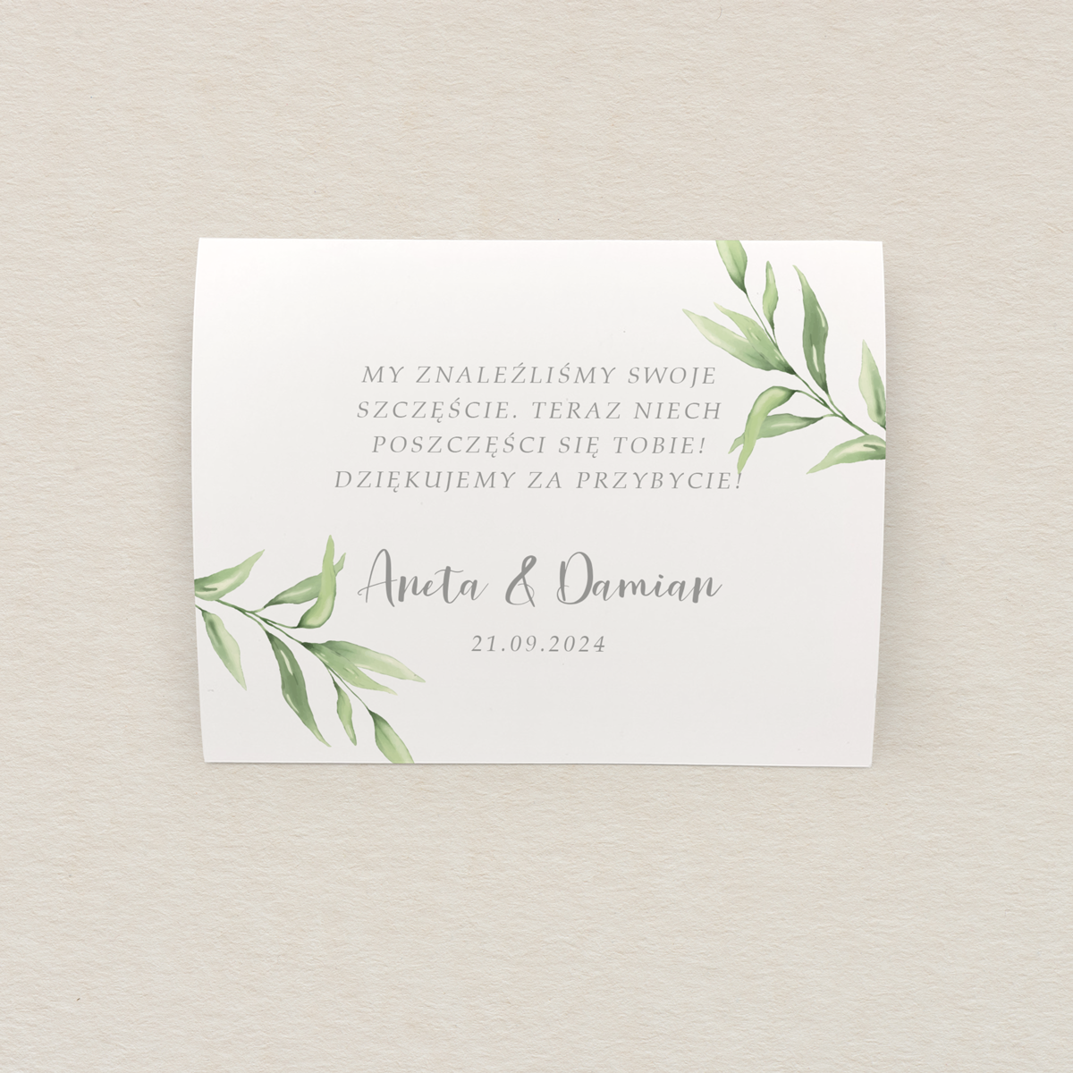 koperta-na-zdrapke-minimalistyczne-zielone-galazki-wzor-1