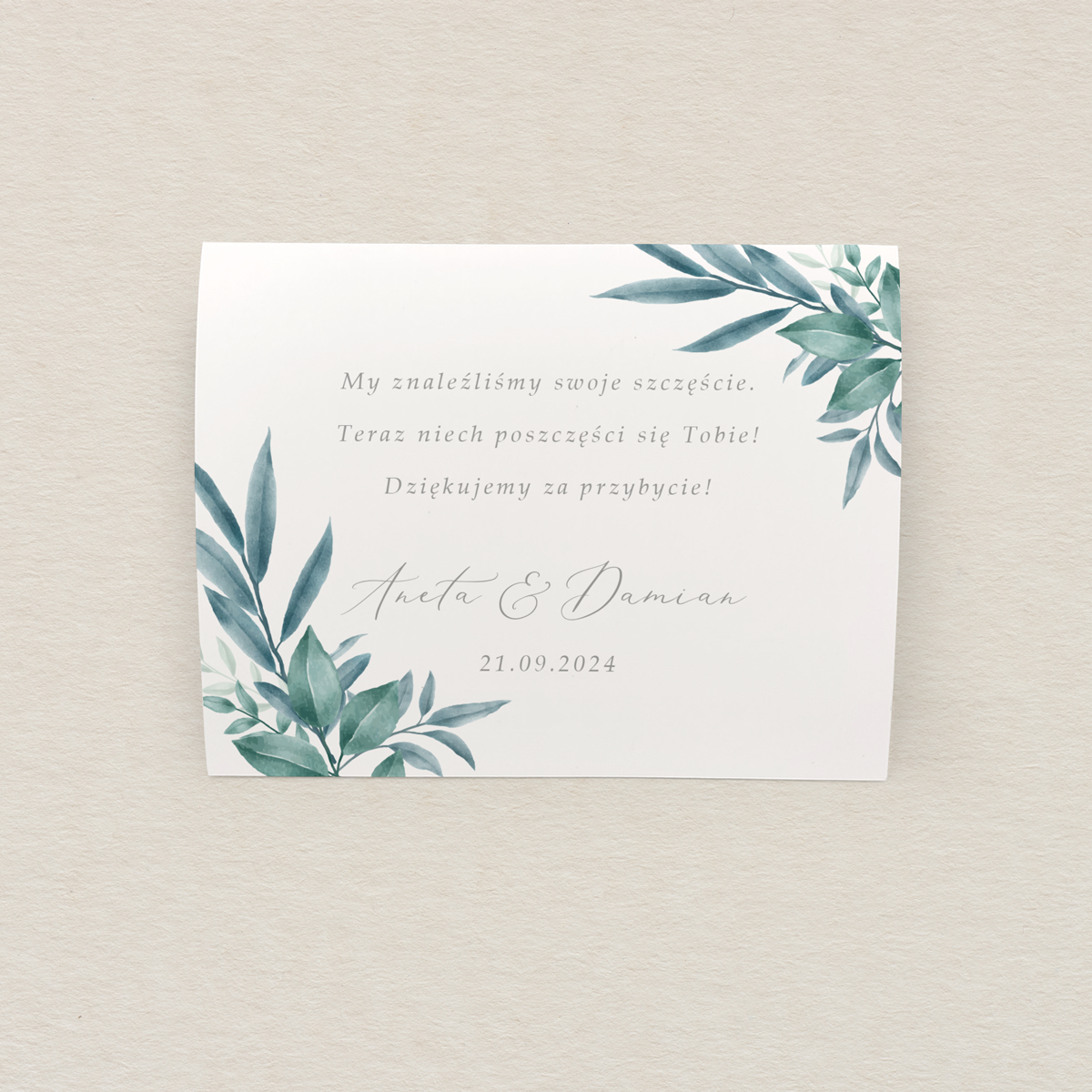 koperta-na-zdrapke-minimalistyczne-zielone-galazki-wzor-2